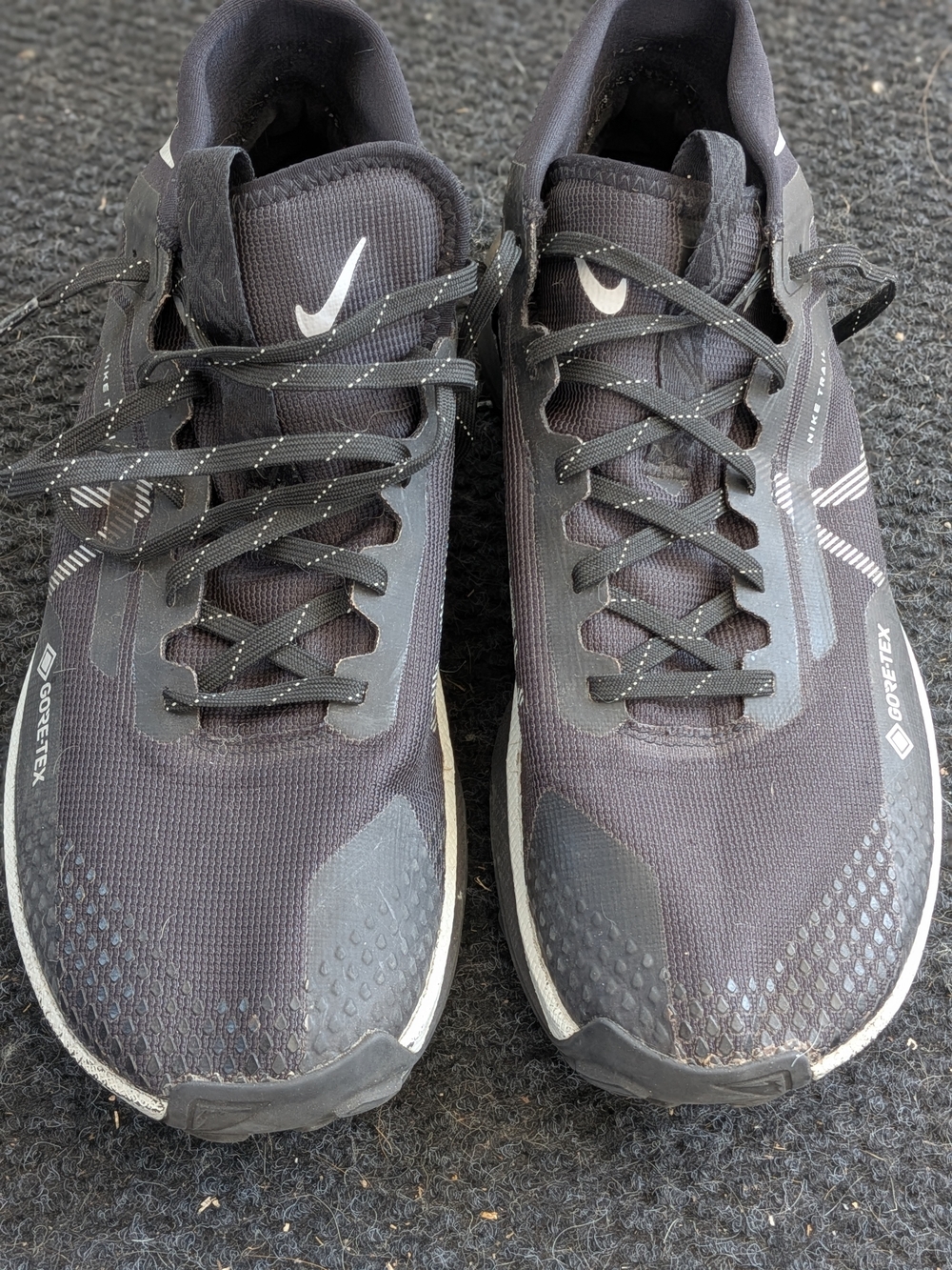 Nike Men’s Black Athletic Gore-Tex Trail Running Shoes with White Accents